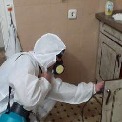 Дезинфекция от муравьев в квартире в Кизилюрте