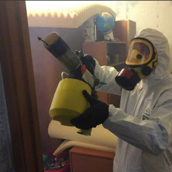 Уничтожение клопов в квартире. Кизилюрт