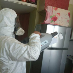 Уничтожение насекомых в квартире. Кизилюрт